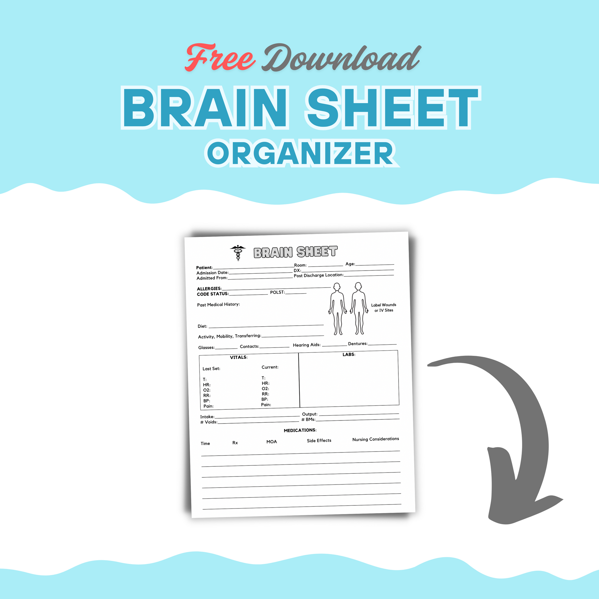 Brain Sheet Organizer