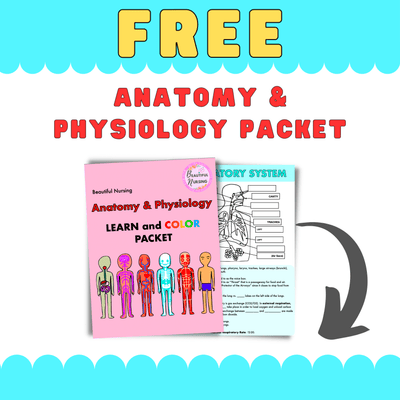 Anatomy & Physiology Learn and Color Packet - BeautifulNursing