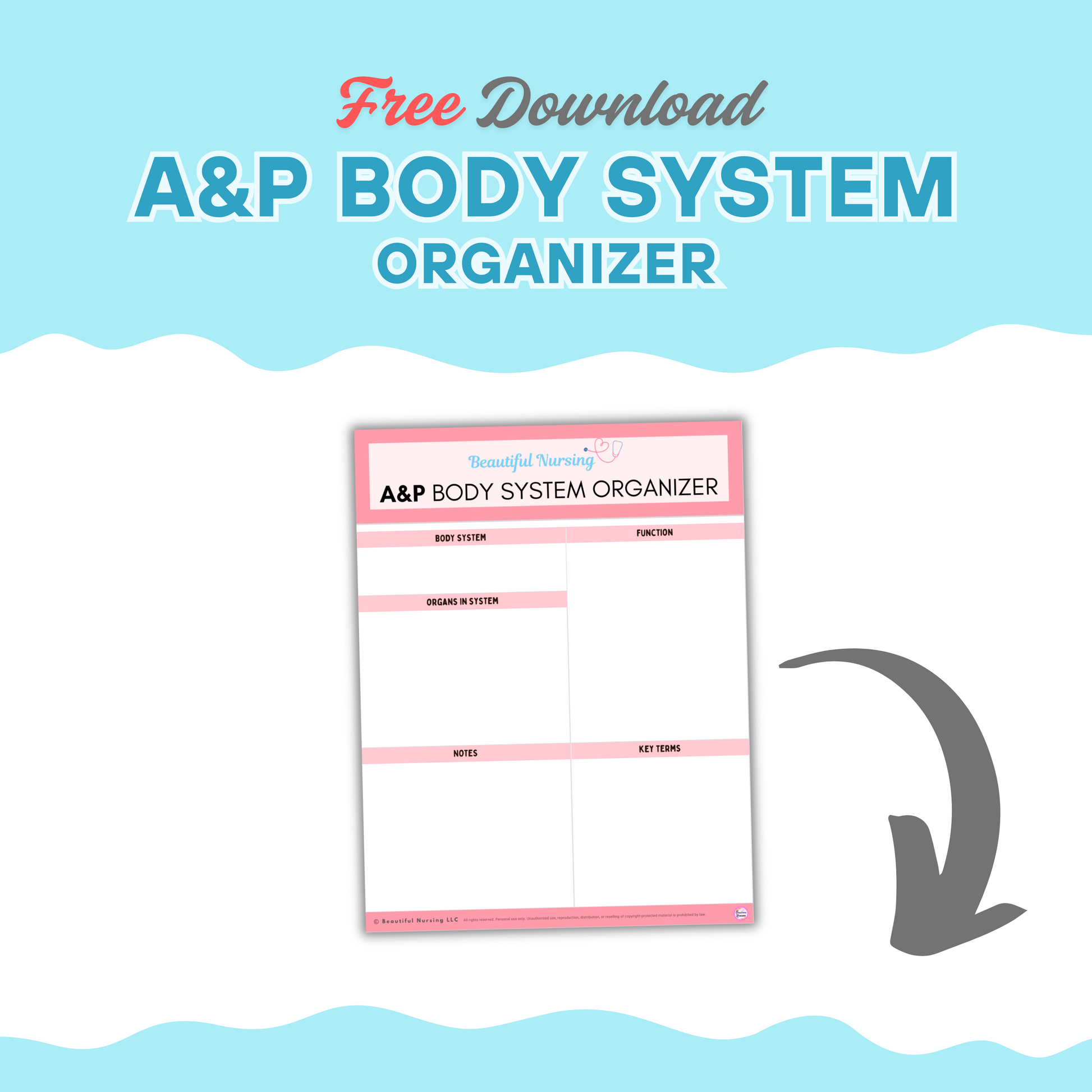 A&P Body Systems Organizer