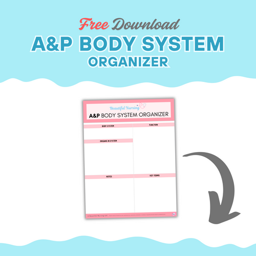 A&P Body Systems Organizer