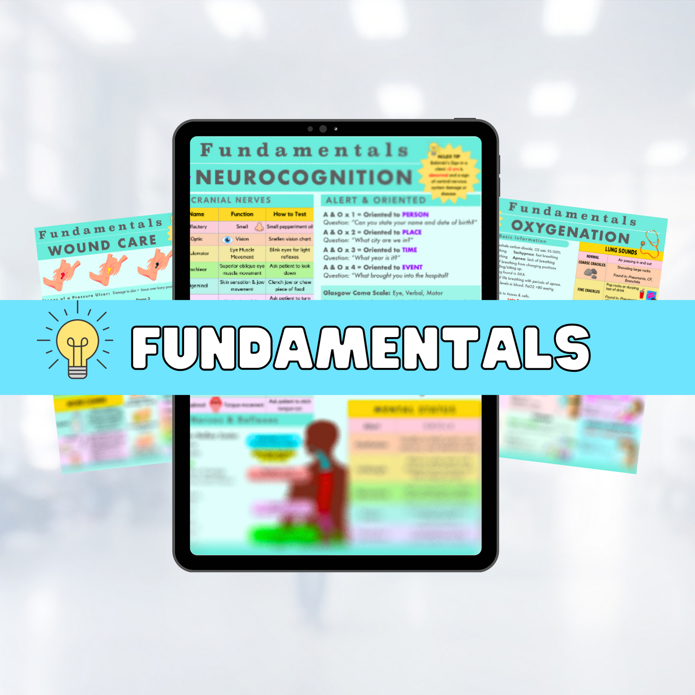 Fundamentals Bundle