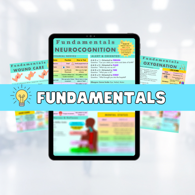 Fundamentals Bundle