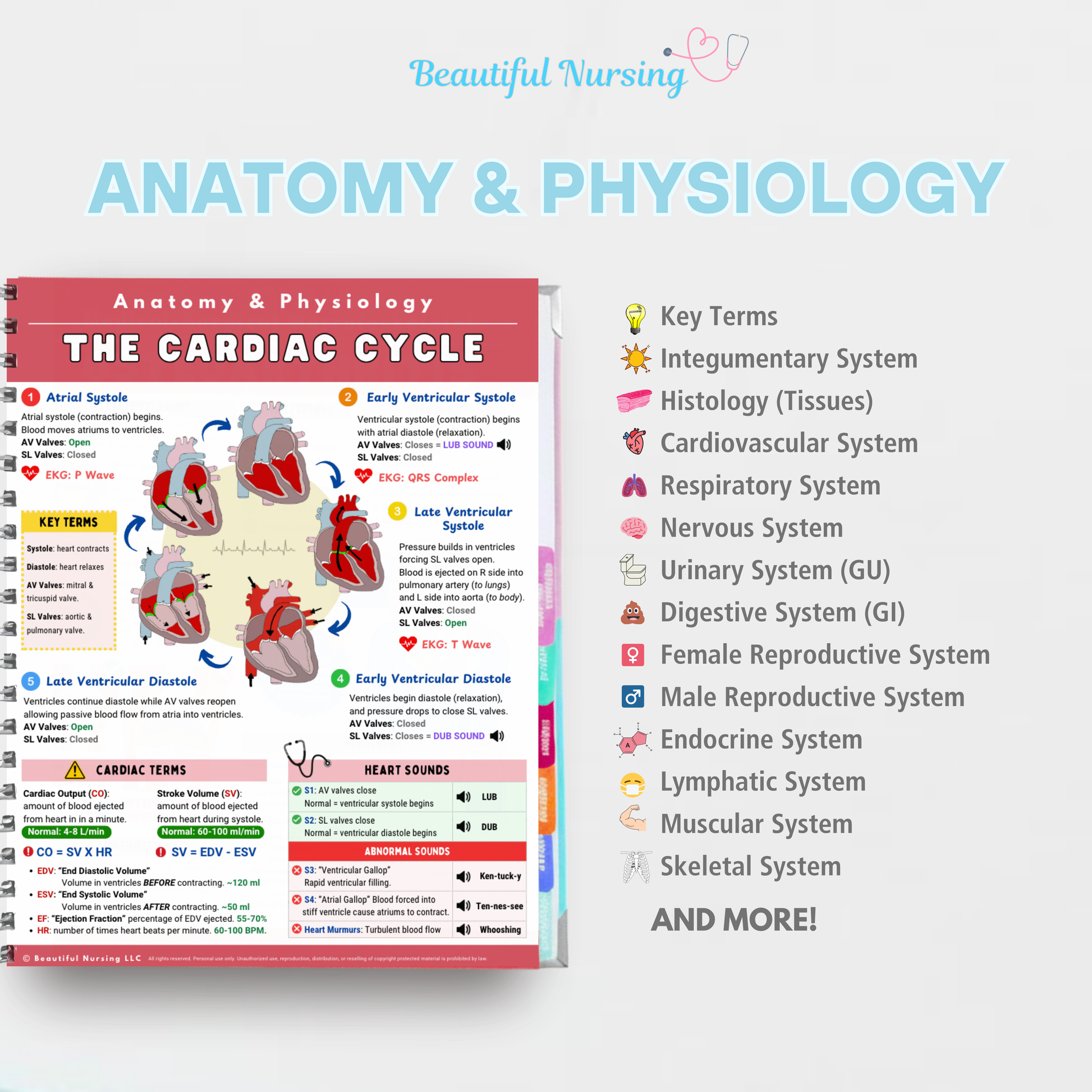 The Nursing School Antidote | SPIRAL |