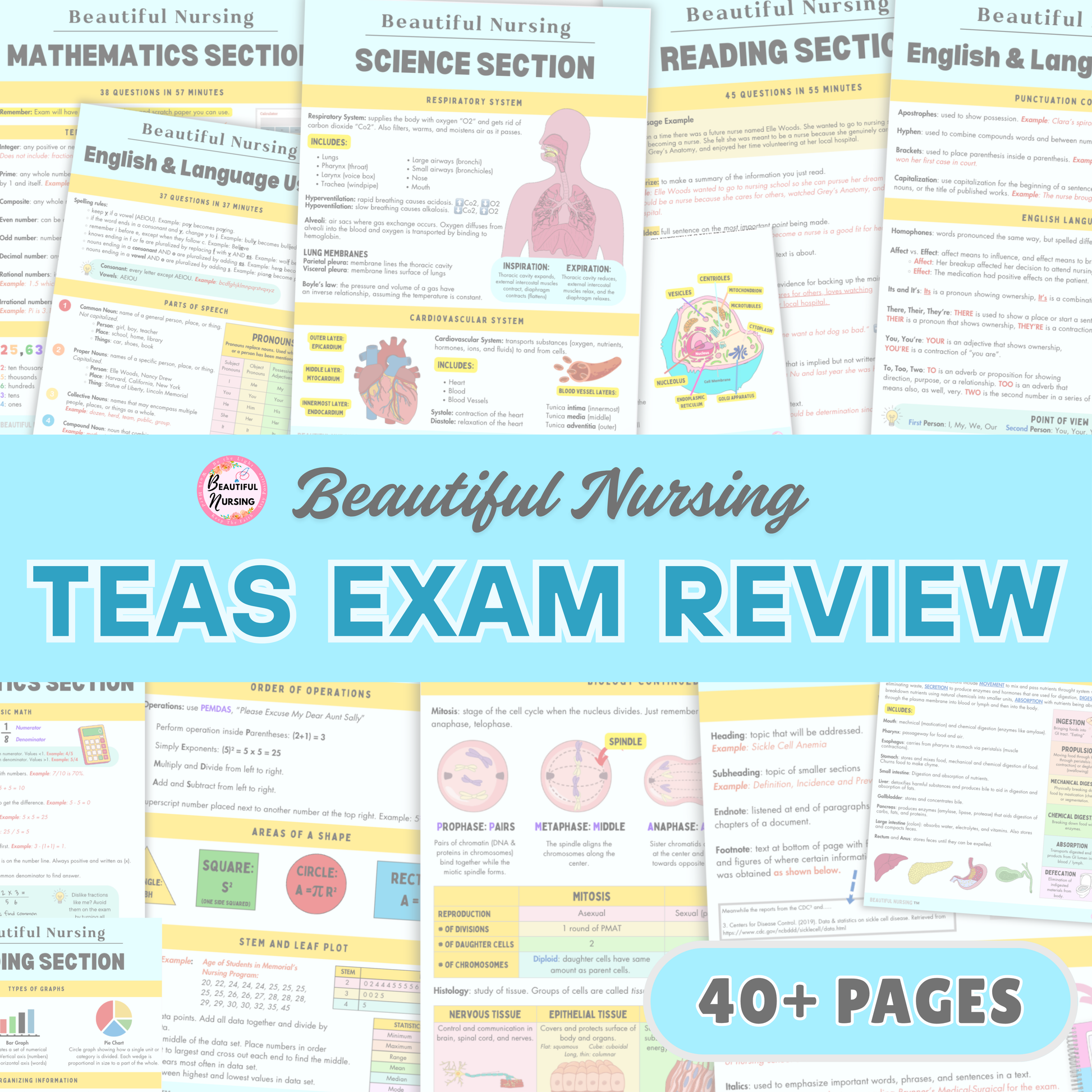 TEAS Exam 7 Bundle – BeautifulNursing
