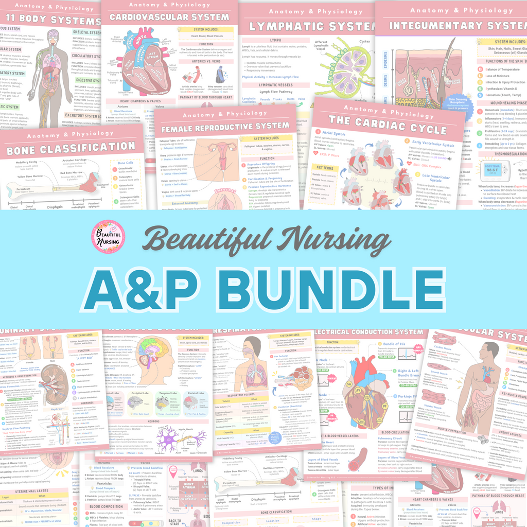 Anatomy & Physiology Bundle