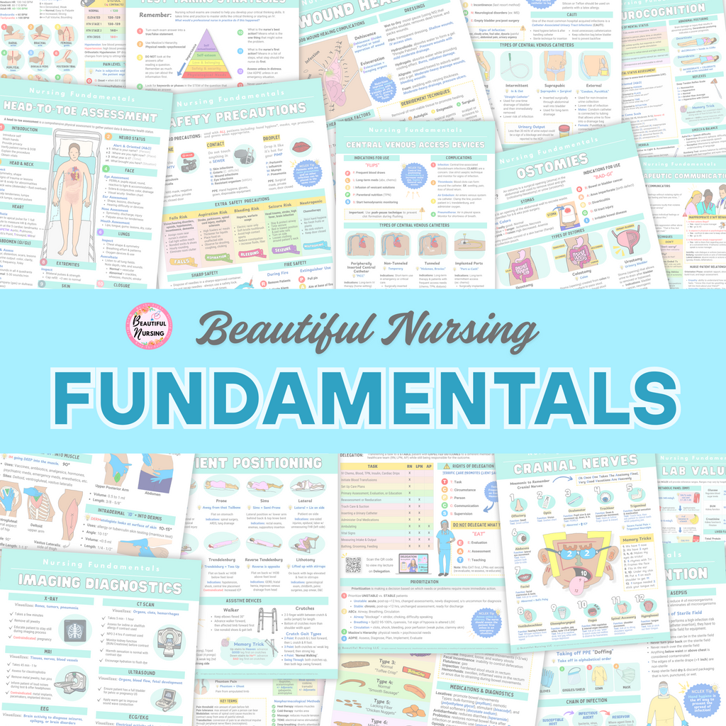 Fundamentals Bundle