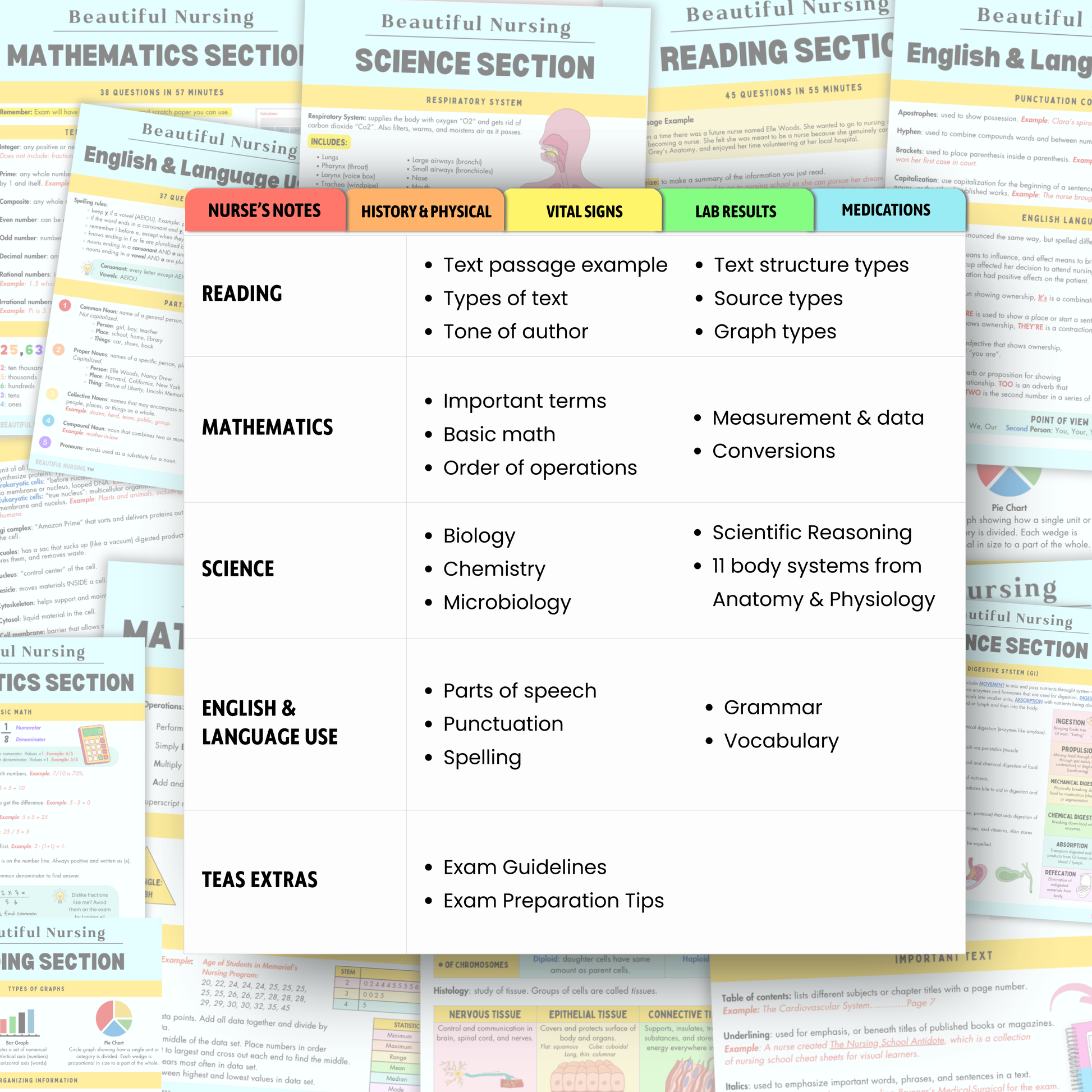 TEAS Exam 7 Bundle