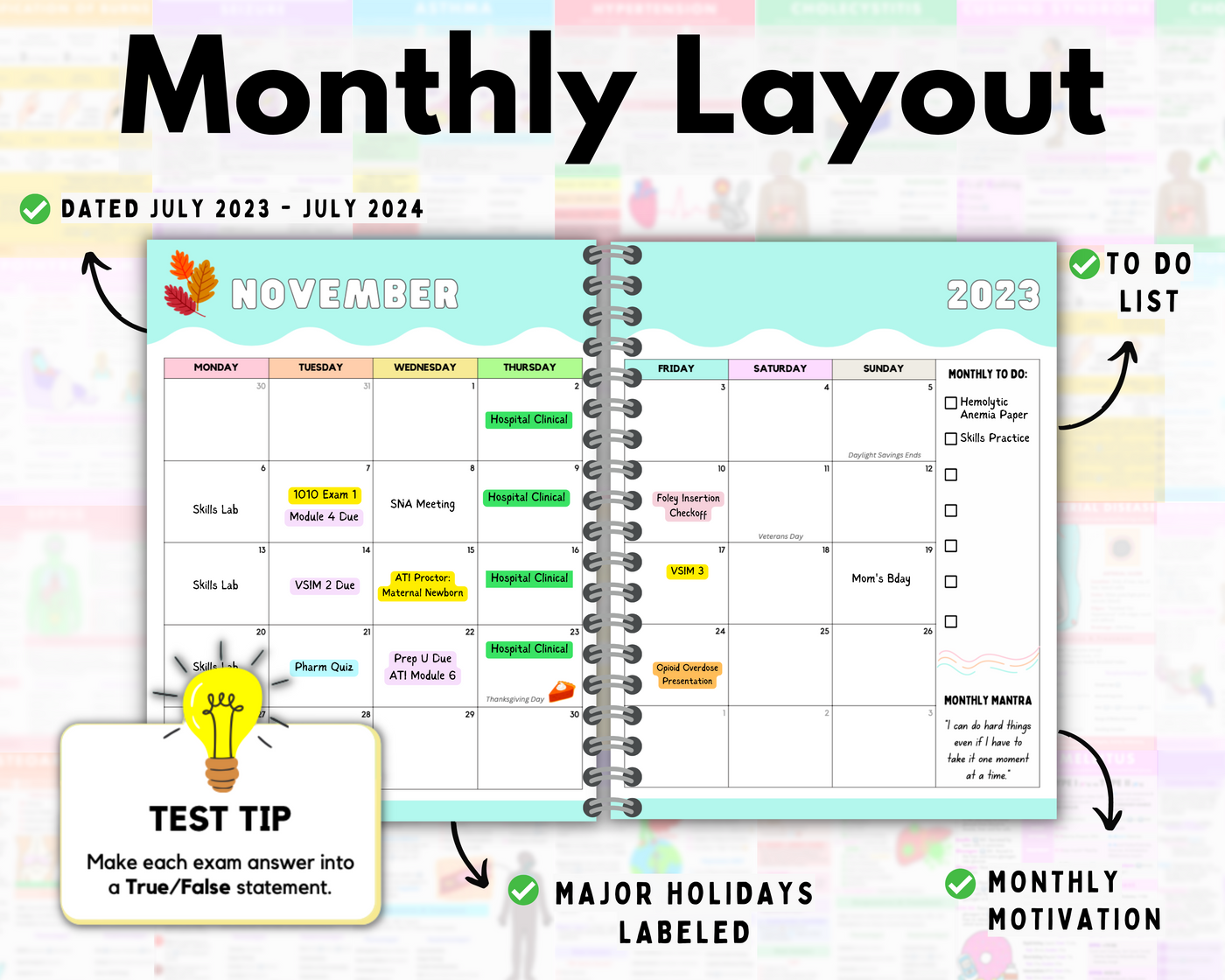 Nursing School Planner | Dated July 2023-July 2024