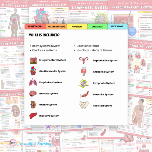 Anatomy & Physiology Bundle