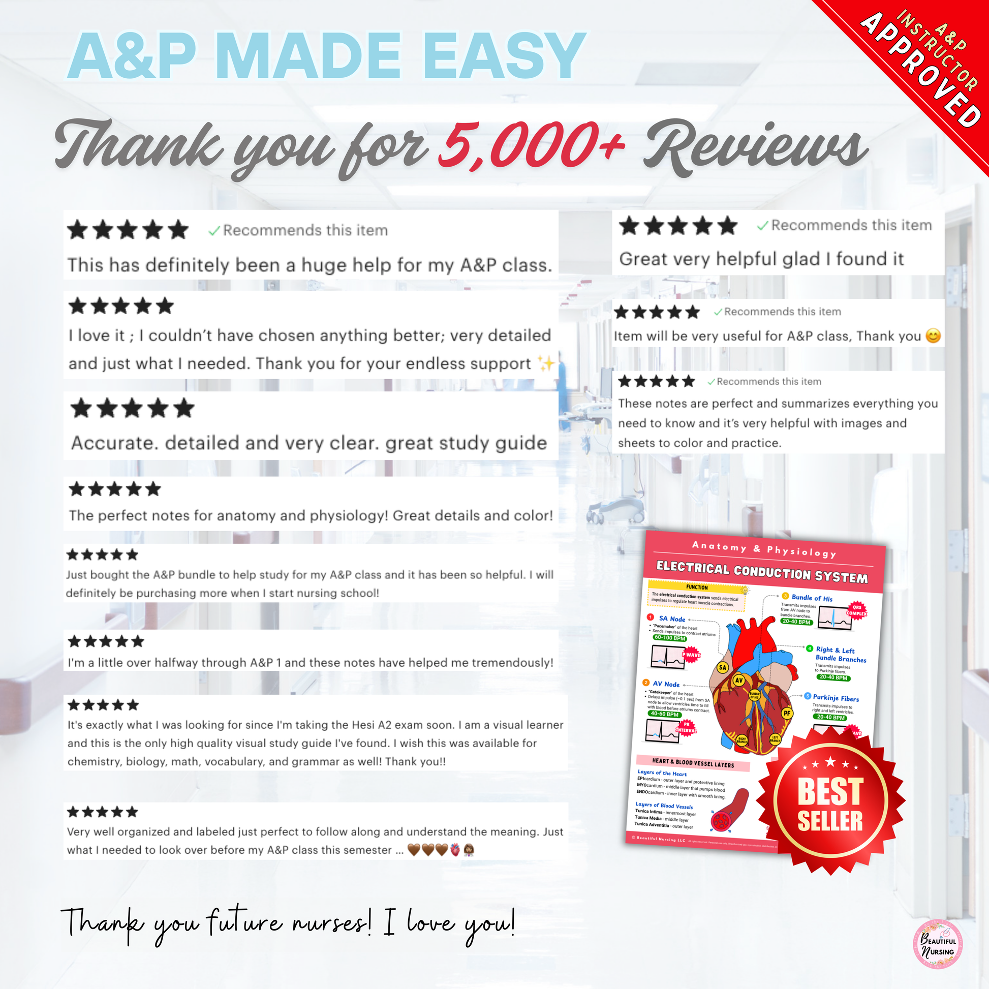Anatomy & Physiology Bundle
