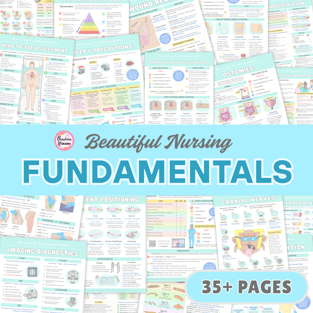 Fundamentals Bundle