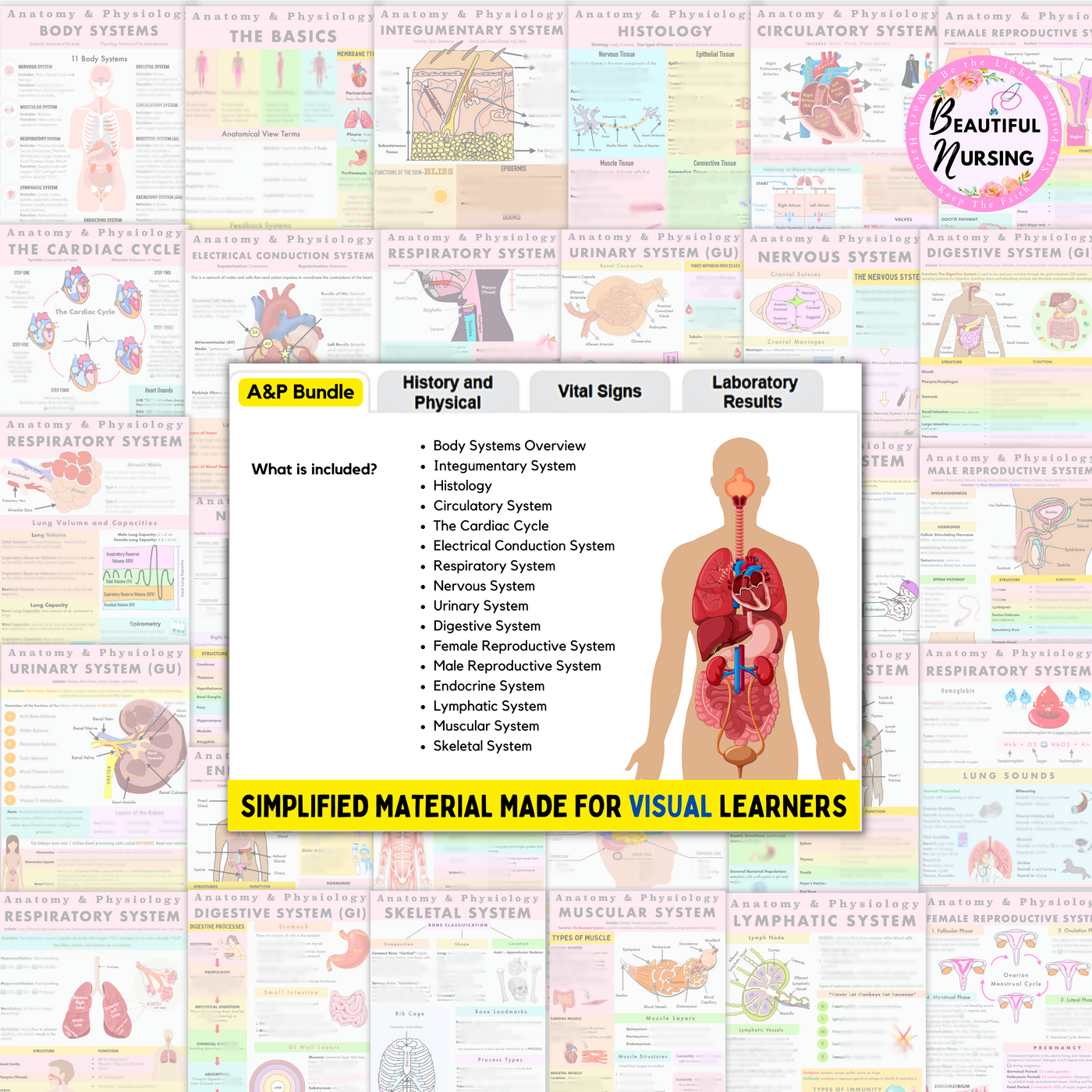 Anatomy & Physiology Bundle