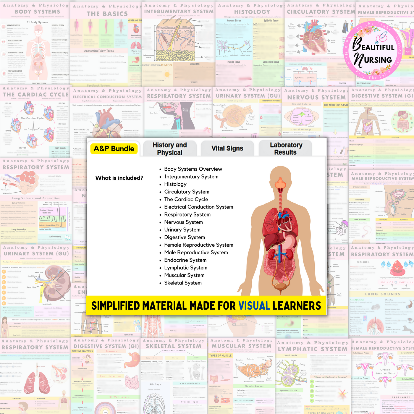 Anatomy & Physiology Study Bundle