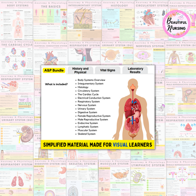 Anatomy & Physiology Study Bundle