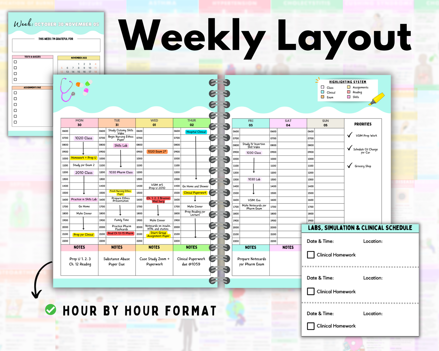 Nursing School Planner | Dated July 2023-July 2024