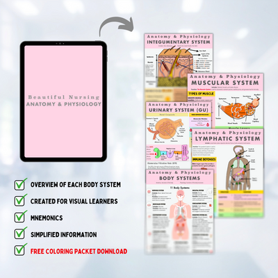 Anatomy & Physiology Bundle