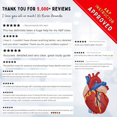 Anatomy & Physiology Bundle