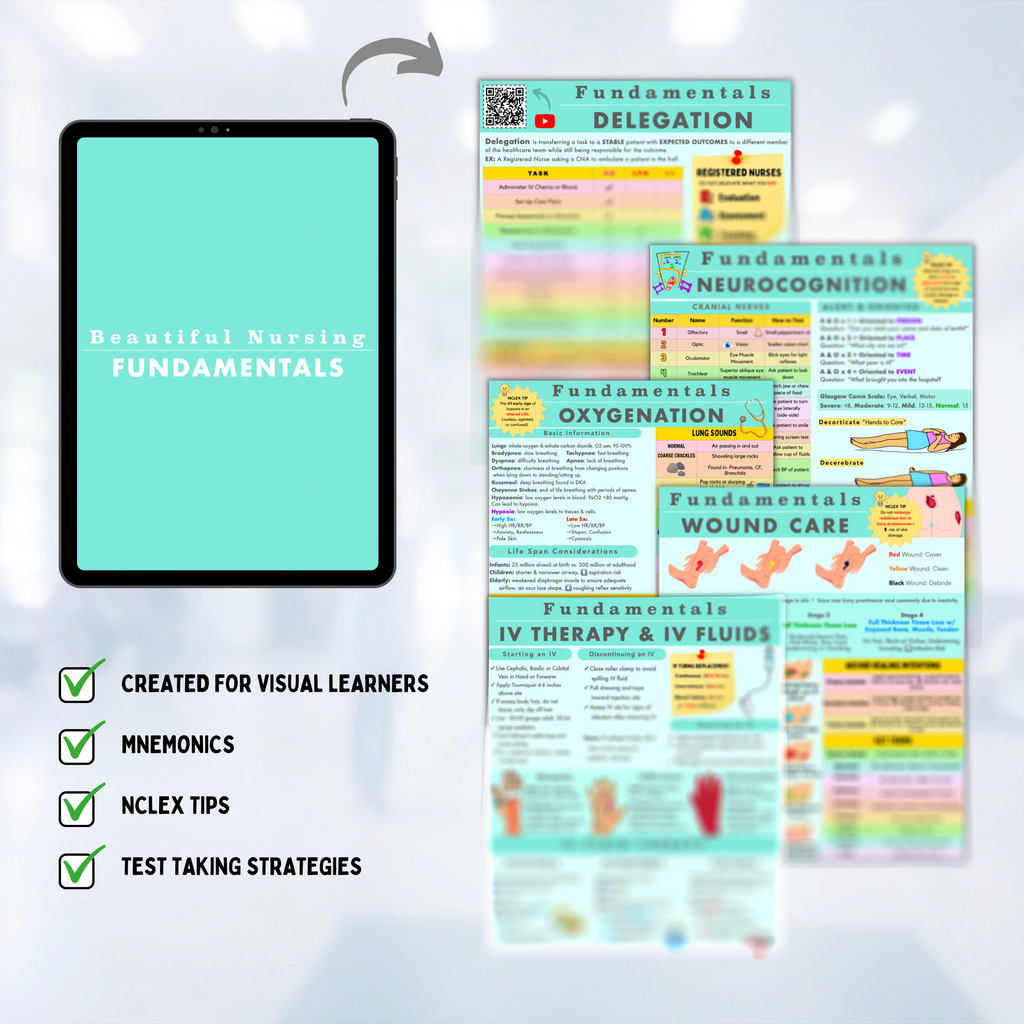Fundamentals Bundle