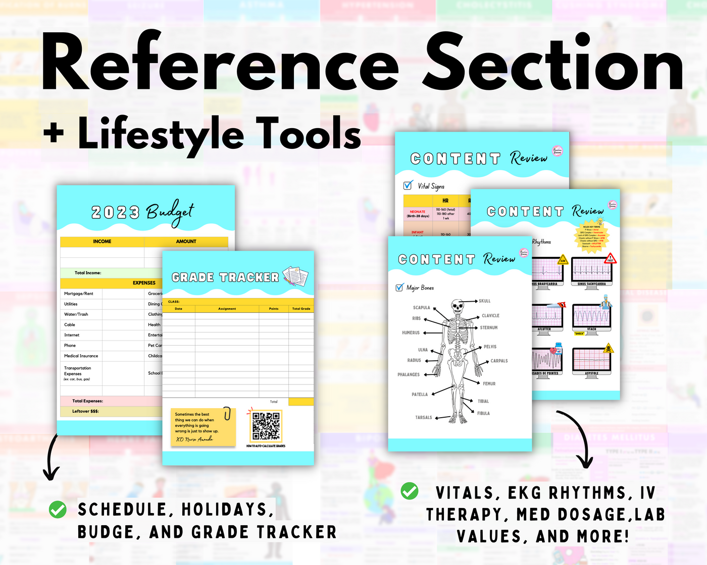 Nursing School Planner | Dated July 2023-July 2024
