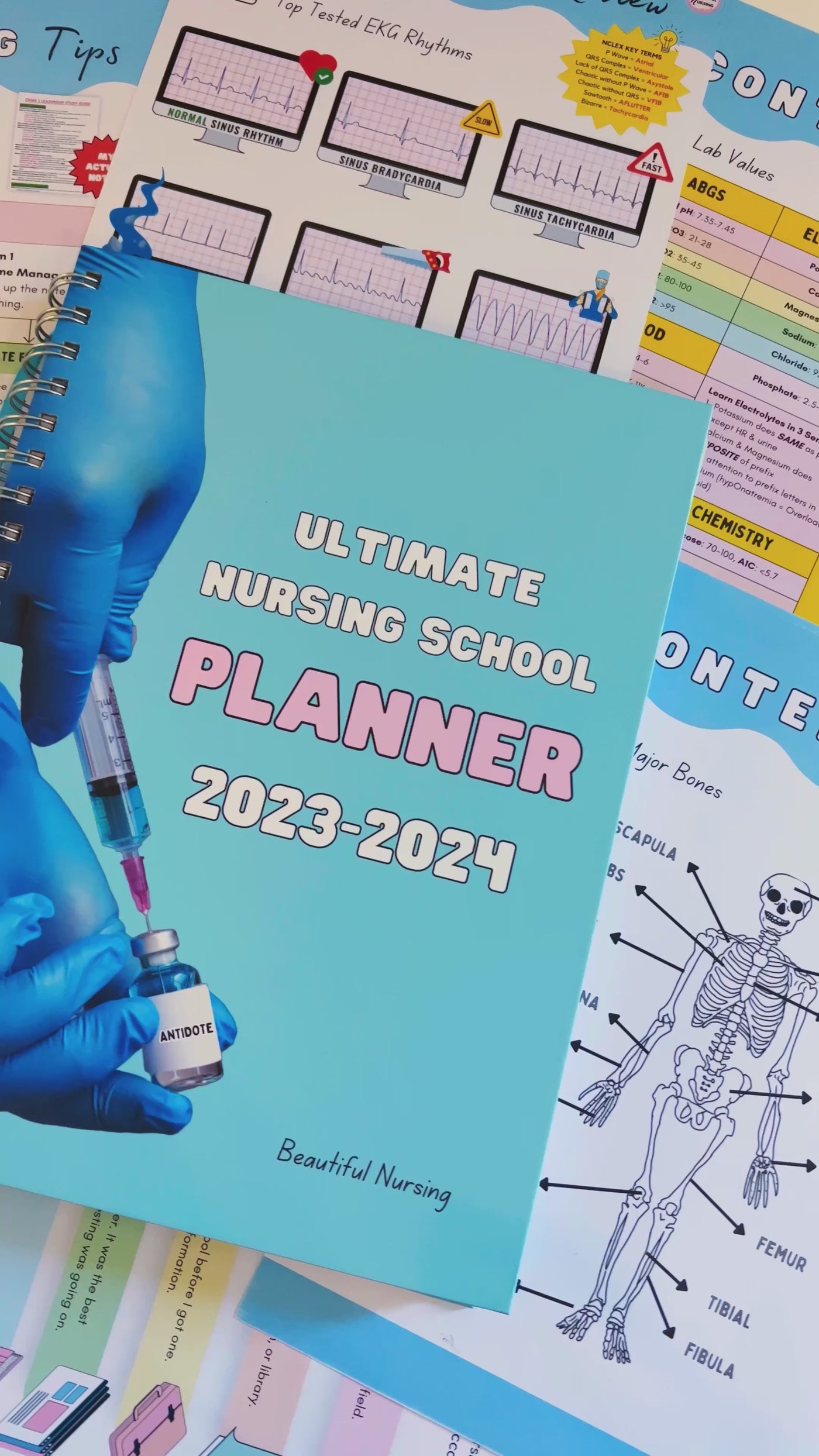 Nursing School Planner | Dated July 2023-July 2024